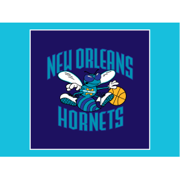 New Orlean Hornets retro logo